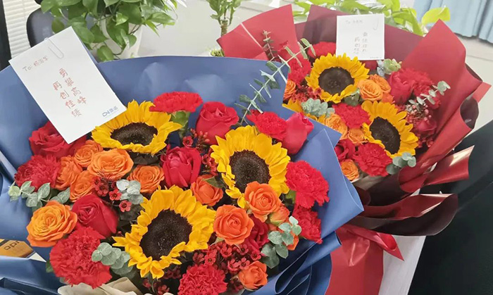 以夢(mèng)為馬，不負(fù)韶華